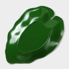 Блюдо для подачи «Лист», пластик, 25×17×2 см, зелёное - Фото 7
