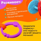 Развивающая подвеска «Зебра» - Фото 4