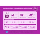 УЦЕНКА Сухой корм Whiskas для кошек, говядина, подушечки, 5 кг(годен до 01.08.25) - Фото 4