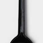 Ложка пластиковая одноразовая, 16,5 см, цвет чёрный, набор 6 шт - фото 4614814