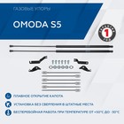 Газовые упоры капота Rival для Omoda S5 2023-н.в., 2 шт, A.ST.0904.1 - Фото 1