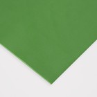 Иранский фоамиран "Эва" 2 мм, 1,20х5 м, зелёный - Фото 2
