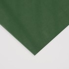 Иранский фоамиран "Эва" 2 мм, 1,20х5 м, тёмно-зелёный - Фото 2