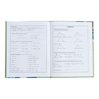 Дневник интег обл 1-11кл 48л Модный енотик,обл мел карт,мат лам,выб уф-лак,унив шпр,бл65 - фото 24555457