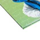 Дневник интег обл 1-11кл 48л Модный енотик,обл мел карт,мат лам,выб уф-лак,унив шпр,бл65 - фото 24555449