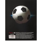 Дневник универсальный 1-11 класс "Мяч и огонь", 40 листов, на скобе - фото 24434070