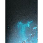 Дневник универсальный 1-11 класс "Мяч и огонь", 40 листов, на скобе - фото 24434074