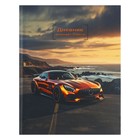 Дневник 1-11 класс "Закатное золото", твердая обложка c матовой ламинацией, выборочный лак, 40 листов, с резинкой - фото 24462168