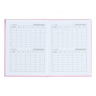 Дневник 1-11 класс "Розовые сладости", твердая обложка c матовой ламинацией, 40 листов - фото 24434144