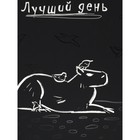Дневник 1-11 класс "Черно-белая капибара", твердая обложка, выборочный лак, SoftTouch, 40 листов - фото 24434153