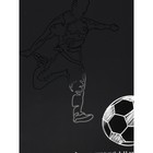 Дневник 1-11 класс "Черно-белый мяч", твердая обложка, выборочный лак, SoftTouch, 40 листов - фото 24434160