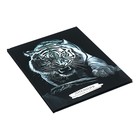 Дневник 1-11 класс "Тигр в черно-белом", твердая обложка, SoftTouch, выборочный лак, 40 листов - фото 24462214