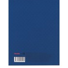 Дневник 1-11 класс "Герб на синем", твердая обложка, тиснение золотом, SoftTouch, 40 листов - Фото 4