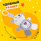 Подвеска на кроватку и коляску «Мишутка», музыкальная, свет - Фото 2