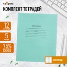 Комплект тетрадей из 5 штук, 12 листов в клетку КПК "Зелёная обложка", блок №2, белизна 75% (серые листы) 10514003 - фото 312670778