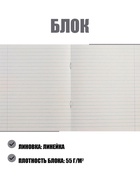 Набор тетрадей «Зелёная обложка» 5 штук, 12 листов в линейку, эконом, плотность 60 г/м²  (артикул 10514004)  большой выбор товаров оптом и в розницу по низким ценам с доставкой