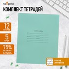 Комплект тетрадей из 5 штук, 12 листов в косую линию КПК "Зелёная обложка", блок №2, белизна 75% (серые листы) 10514005 - фото 312670780