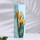 Диффузор ароматический, "Iris", ирис, 100 мл - Фото 5