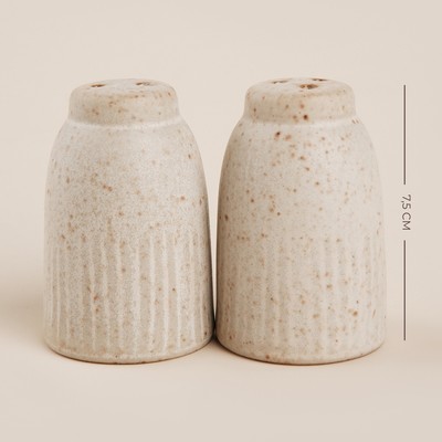 Набор для специй керамический SL Home «Виенто», 2 предмета: солонка 80 мл, перечница 80 мл, бежевый