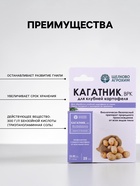 Средство для лечения и профилактики клубней картофеля от гнили «Кагатник, ВРК» 25 мл - Фото 2