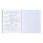 Набор предметных тетрадей ErichKrause «Зри в корень», 12 предметов, 48 листов, со справочным материалом, пластиковая обложка - Фото 17