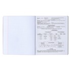 Набор предметных тетрадей ErichKrause «Зри в корень», 12 предметов, 48 листов, со справочным материалом, пластиковая обложка - Фото 18