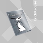 Набор предметных тетрадей ErichKrause «Чубрик», 12 предметов, 48 листов, со справочным материалом, пластиковая обложка - Фото 8