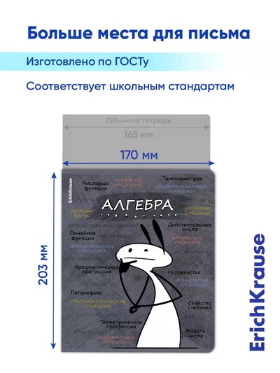 Набор предметных тетрадей ErichKrause «Чубрик», 12 предметов, 48 листов, со справочным материалом, пластиковая обложка