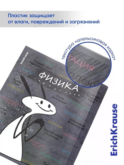Набор предметных тетрадей ErichKrause «Чубрик», 12 предметов, 48 листов, со справочным материалом, пластиковая обложка