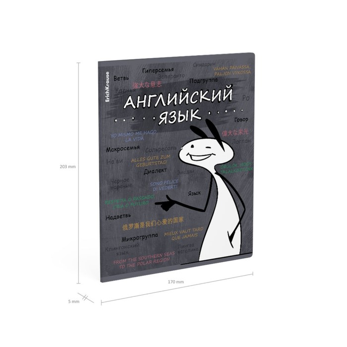 Тетрадь предметная, 48 листов, клетка, АНГЛИЙСКИЙ ЯЗЫК ErichKrause "Чубрик", пластиковая обложка шелкография, блок офсет белизна 100%, инфо-блок