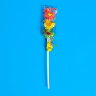 Карамель на палочке "ЛОЛЛИ УТКА", 15 г (комплект 2 шт) - фото 24489760