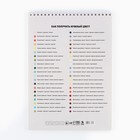 Альбом для рисования 40 листов на пружине А4 «Три котика» - Фото 4