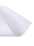 Бумага А4 500 л., Илим «Стандарт», 80 г/м², белизна 146% CIE, класс C (цена за 500 листов) - Фото 8