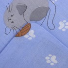 КПБ Котики голубой 110х150см, 90х150см, 40х60см, бязь 120г/м, хл100% - фото 24569974