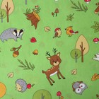 КПБ Лесные друзья зеленый 110х150см, 90х150см, 40х60см, бязь 120г/м, хл100% - фото 24569981