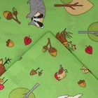 КПБ Лесные друзья зеленый 110х150см, 90х150см, 40х60см, бязь 120г/м, хл100% - фото 24569982