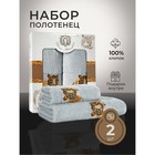 Набор махровых полотенец Diva Afrodita «Тигр» Lux, 430 гр, размер 50х90 см, 70х140 см - фото 306139616