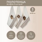 Набор вафельных салфеток Diva Afrodita Ceylin «Тигр», размер 35x50 см, 3 шт - Фото 1