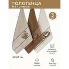 Набор махровых полотенец Diva Afrodita «Кофе», размер 40х60 см, 3 шт - фото 306140311
