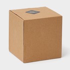 Ступка с пестиком Magistro «Мрамор», 10,5×7 см, 150 мл, камень, цвет персиковый - Фото 7