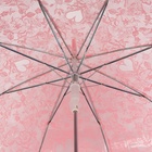 Зонт - трость полуавтоматический «Кружево», 8 спиц, R = 40/58 см, D = 116 см, цвет розовый/прозрачный - фото 11515235