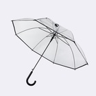 Зонт - трость полуавтоматический «Однотон», 8 спиц, R = 51/58 см, D = 116 см, цвет прозрачный - фото 11515253