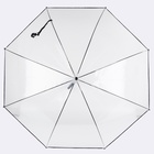 Зонт - трость полуавтоматический «Однотон», 8 спиц, R = 51/58 см, D = 116 см, цвет прозрачный - фото 12093516
