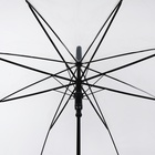 Зонт - трость полуавтоматический «Однотон», 8 спиц, R = 51/58 см, D = 116 см, цвет прозрачный - фото 11515254