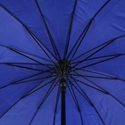 Зонт - трость полуавтоматический «Однотонный», двухслойный, 16 спиц, R = 52/60 см, D = 120 см, цвет чёрный/синий - фото 11515319