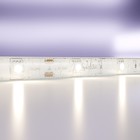 Светодиодная лента Maytoni Led Strip 10164, 24В, 5 м, IP65, 5050, 7,2 Вт/м, 10х2,3, 4000К, монохром - фото 4360625