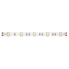 Светодиодная лента Maytoni Led Strip 10165, 24В, 5 м, IP65, 5050, 7,2 Вт/м, 10х2,3, 6000К, монохром - фото 4360631