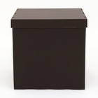 Коробка для воздушных шаров, Чёрная 60 х 60 х 60 см - Фото 2