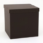 Коробка для воздушных шаров, Чёрная 60 х 60 х 60 см - Фото 1