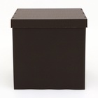 Коробка для воздушных шаров, Чёрная 60×60×60 см - Фото 2